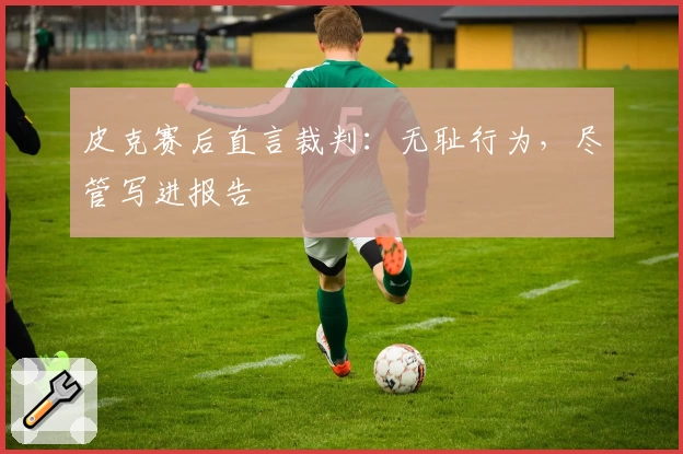 皮克赛后直言裁判：无耻行为，尽管写进报告